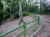 山城 山科本願寺の写真