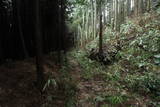 大和 宇陀松山城の写真