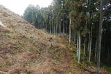 大和 宇陀松山城の写真