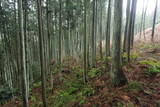 大和 宇陀松山城の写真