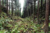 大和 宇陀松山城の写真