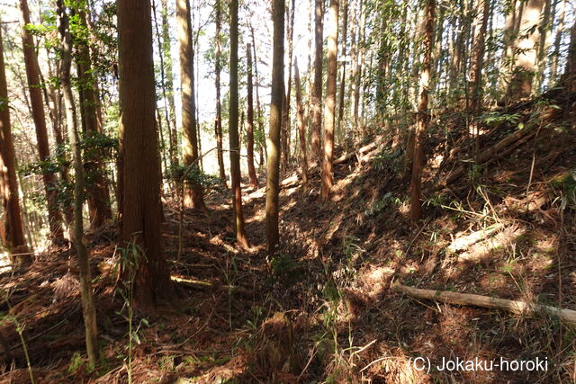 大和 雨師城の写真