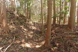 大和 雨師城の写真