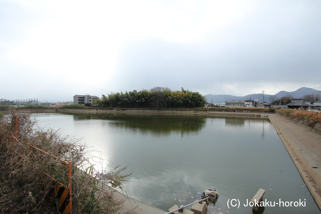 大和 万歳平城の写真