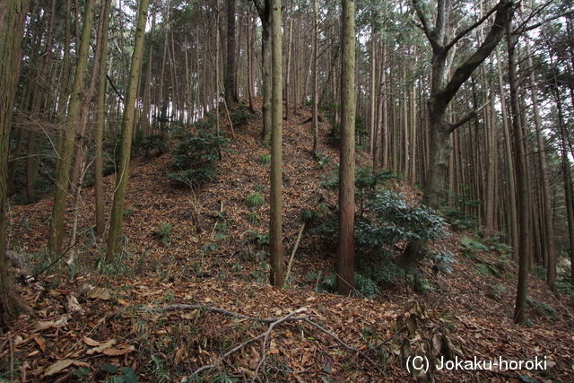 大和 万歳山城の写真