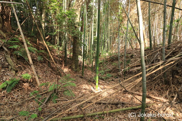 大和 超昇寺城の写真