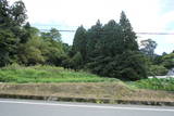 大和 藤井城の写真
