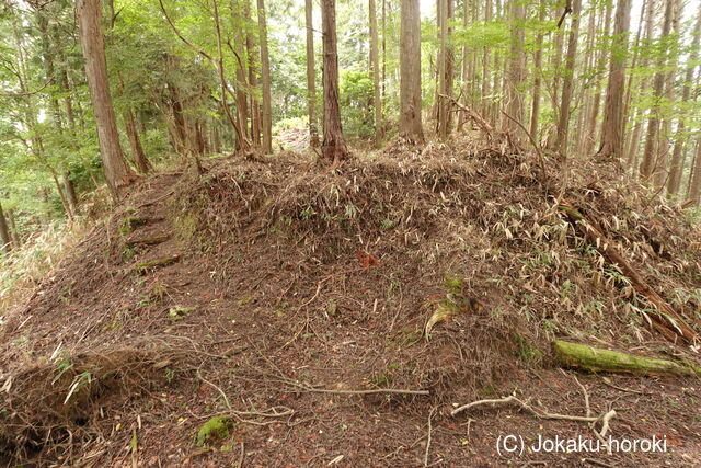 大和 深野城の写真