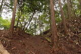 大和 深野城の写真