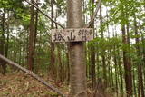 大和 深野城の写真