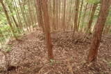 大和 深野城の写真