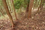 大和 深野城の写真