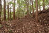 大和 深野城の写真