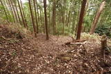 大和 深野城の写真