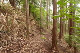 大和 深野城の写真