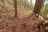 大和 深野城の写真