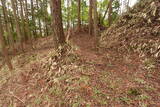 大和 深野城の写真