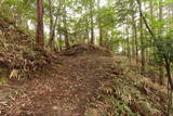 大和 深野城の写真