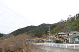 大和 ハチヤヅカ城の写真