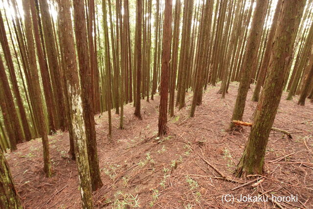 大和 檜牧城の写真