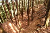 大和 檜牧城の写真