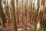 大和 檜牧城の写真