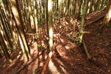 大和 檜牧城の写真