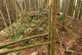 大和 檜牧城の写真