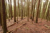 大和 檜牧城の写真