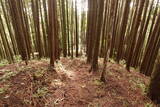 大和 檜牧城の写真