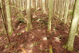 大和 檜牧城の写真