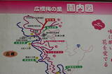 大和 広橋城の写真