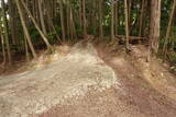 大和 広橋城の写真
