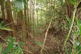 大和 広橋城の写真