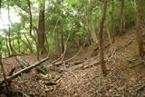 大和 広橋城の写真