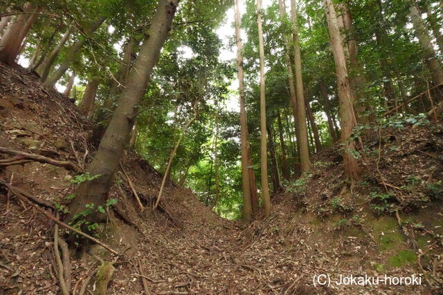 大和 広瀬城の写真