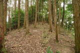大和 広瀬城の写真