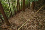大和 広瀬城の写真