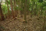 大和 広瀬城の写真