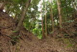 大和 広瀬城の写真