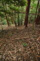 大和 広瀬城の写真