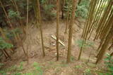 広瀬山城写真