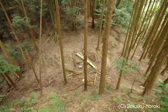 大和 広瀬山城の写真