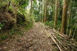 大和 広瀬山城の写真