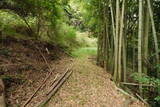 大和 広瀬山城の写真