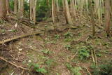 大和 広瀬山城の写真