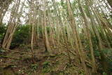 大和 広瀬山城の写真