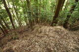 大和 広瀬山城の写真
