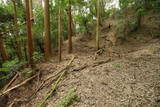 大和 広瀬山城の写真