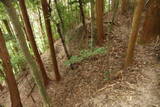大和 広瀬山城の写真